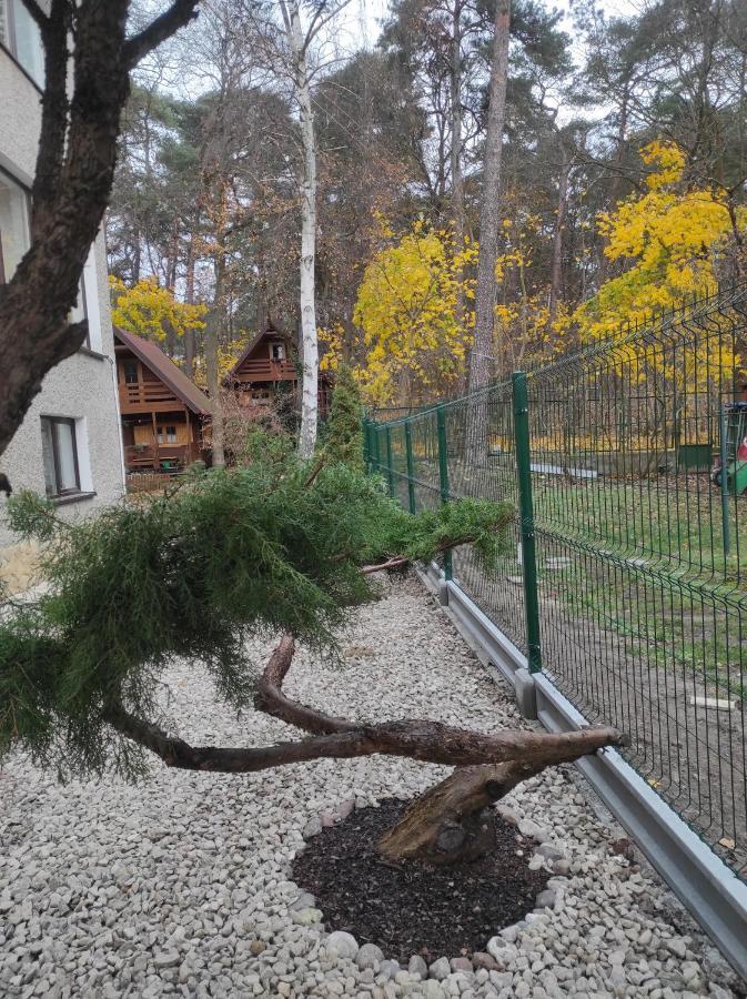 Chatki Saturnina I Pokoje Świnoujście Esterno foto