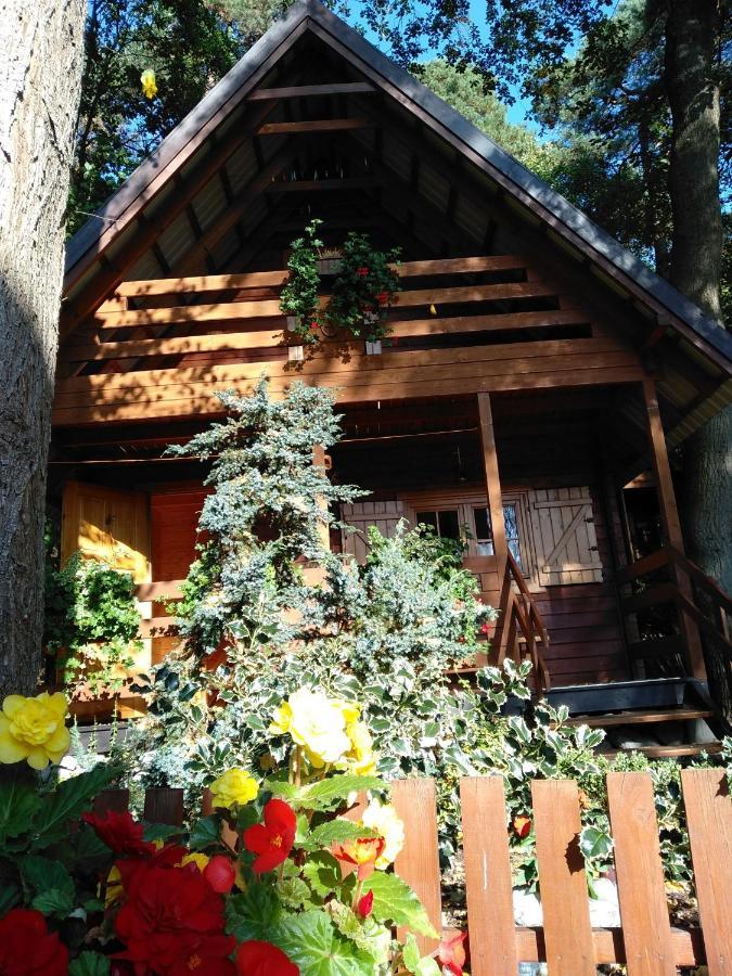 Chatki Saturnina I Pokoje Świnoujście Esterno foto